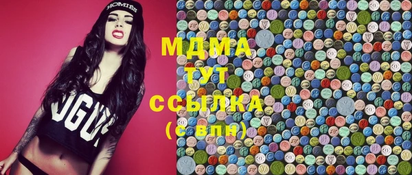 индика Аркадак
