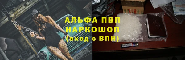 индика Арсеньев