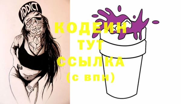 индика Арсеньев