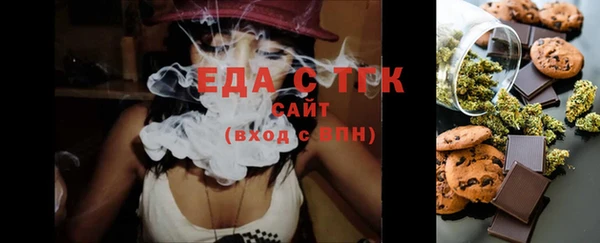 индика Арсеньев