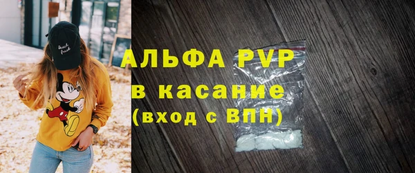 индика Арсеньев