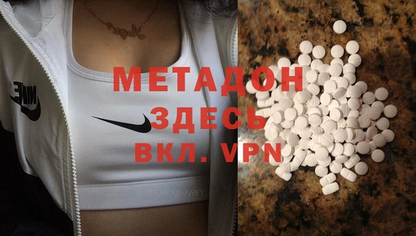 индика Аркадак