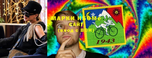 индика Арсеньев