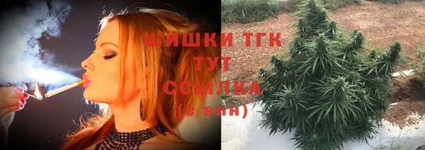индика Аркадак