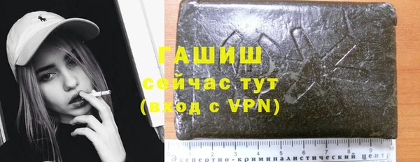 индика Арсеньев
