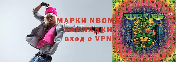 индика Арсеньев