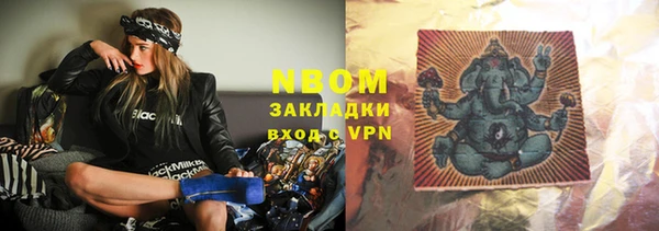 индика Аркадак