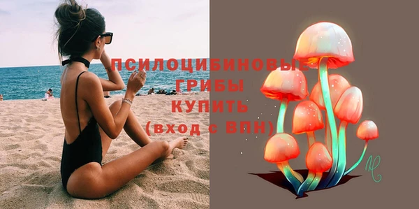 индика Арсеньев